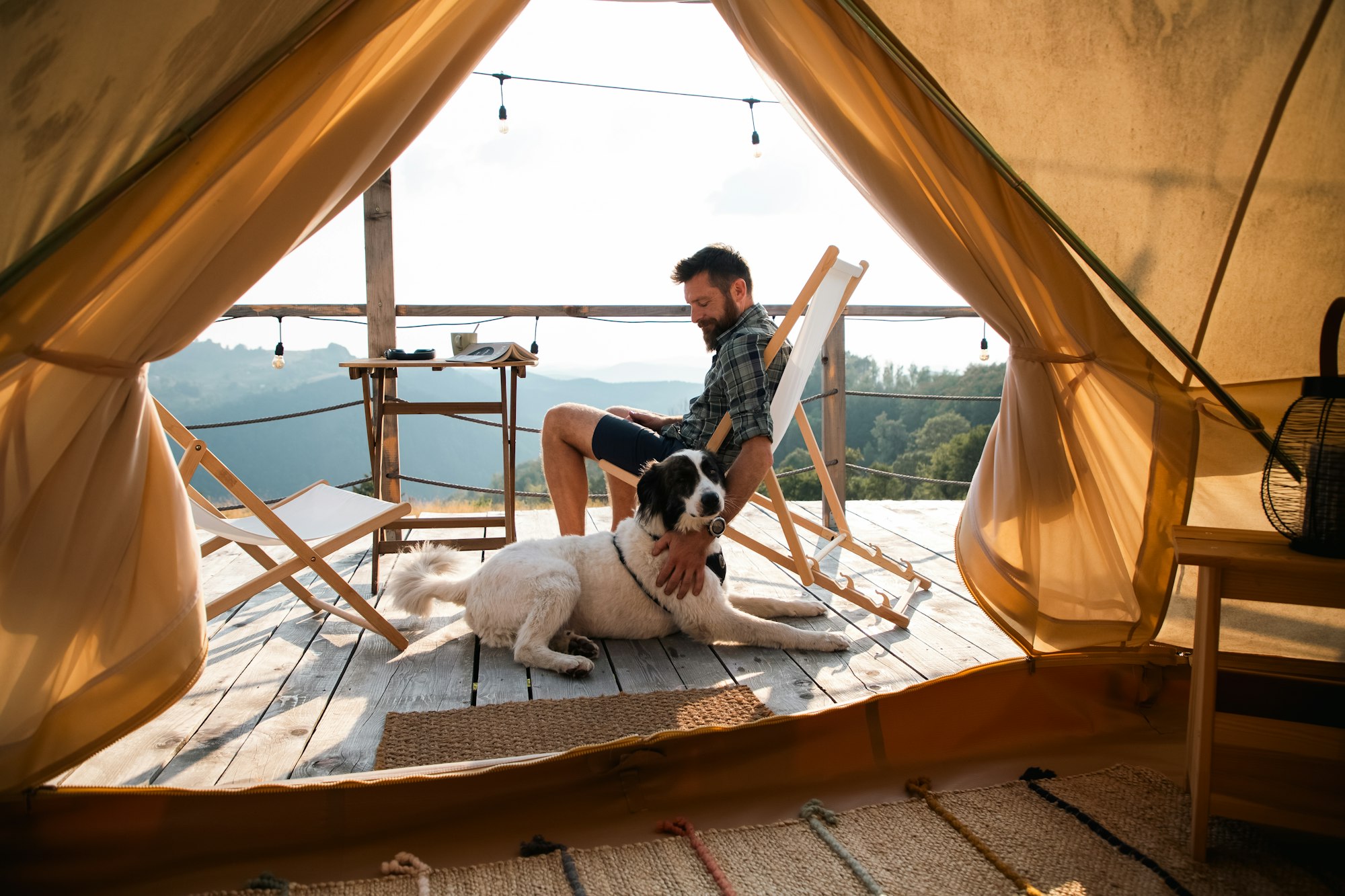 glamping or glamour camping with a dog